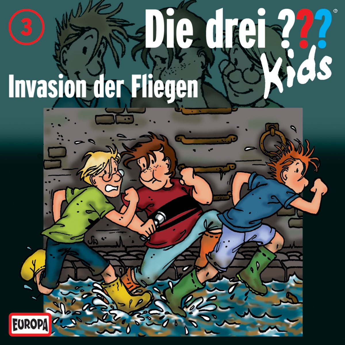 Cover: Invasion der Fliegen